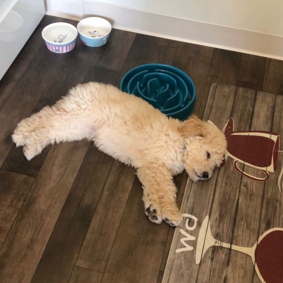 Meet your Posher, Tyler - Picture 2 of 3